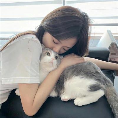网红养成记国语