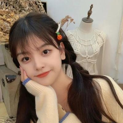 秋田犬蓬夫